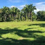 listing image thumbnail with ID 53669