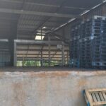 listing image thumbnail with ID 53979