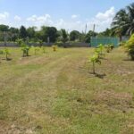 listing image thumbnail with ID 52644