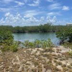 listing image thumbnail with ID 52106