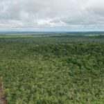 listing image thumbnail with ID 53893