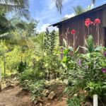 listing image thumbnail with ID 56396