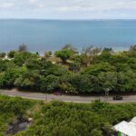 listing image thumbnail with ID 51223