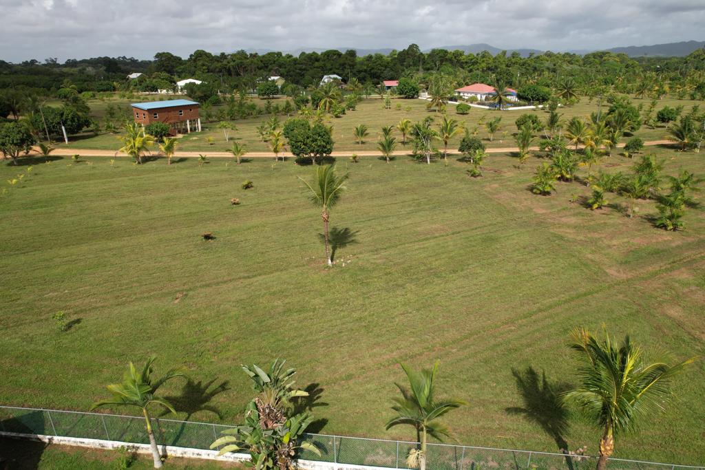 listing image with ID 54707