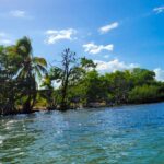 listing image thumbnail with ID 52267