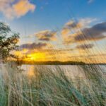 listing image thumbnail with ID 55142