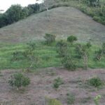 listing image thumbnail with ID 52376