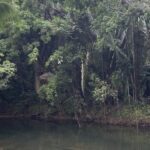 listing image thumbnail with ID 52274