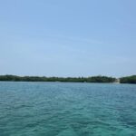 listing image thumbnail with ID 53198