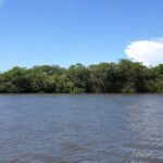 listing image thumbnail with ID 54199