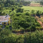 listing image thumbnail with ID 51745