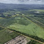 listing image thumbnail with ID 53946