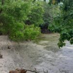 listing image thumbnail with ID 53838