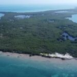 listing image thumbnail with ID 54720