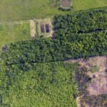 listing image thumbnail with ID 52829