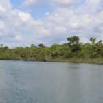 listing image thumbnail with ID 53965