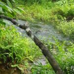 listing image thumbnail with ID 52470