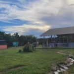 listing image thumbnail with ID 53978