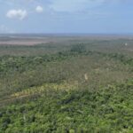 listing image thumbnail with ID 51774