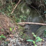 listing image thumbnail with ID 52593