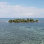 listing image thumbnail with ID 53533