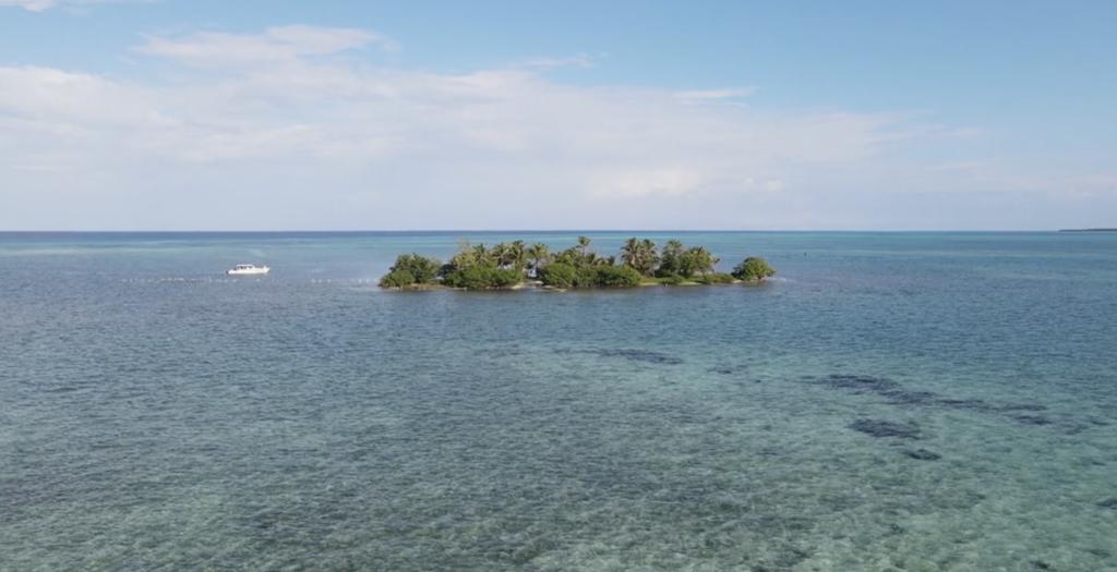 listing image with ID 53533
