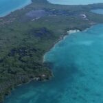 listing image thumbnail with ID 54721