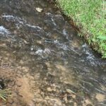 listing image thumbnail with ID 54479