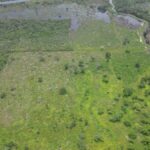 listing image thumbnail with ID 53623