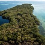 listing image thumbnail with ID 54442