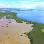 listing image thumbnail with ID 53110