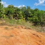 listing image thumbnail with ID 54435