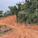 listing image thumbnail with ID 54482