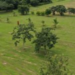 listing image thumbnail with ID 52686