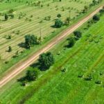 listing image thumbnail with ID 54214