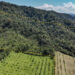 listing image thumbnail with ID 56207