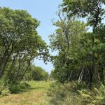 listing image thumbnail with ID 53205