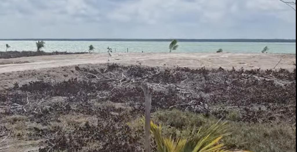 listing image with ID 53479