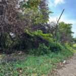 listing image thumbnail with ID 53969