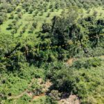 listing image thumbnail with ID 56213