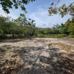 listing image thumbnail with ID 52012