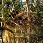 listing image thumbnail with ID 54652