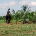 listing image thumbnail with ID 52895