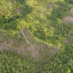 listing image thumbnail with ID 51778