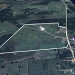 listing image thumbnail with ID 56452