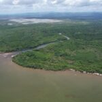 listing image thumbnail with ID 55745