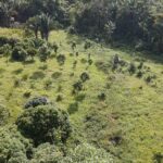 listing image thumbnail with ID 56387