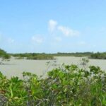 listing image thumbnail with ID 53545