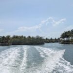 listing image thumbnail with ID 52108