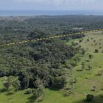 listing image thumbnail with ID 52860